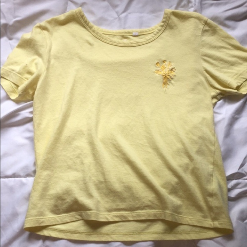 pacsun cropped tee